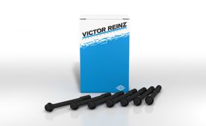 Victor Reinz Cylinder Head Bolts GS33412