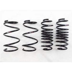 RS-R Super Down Springs T085S