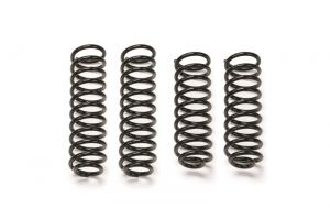 Fabtech Coil Spring Kit FTS24162