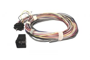 FAST Wiring Harnesses Ex 307040