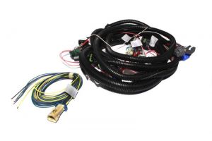 FAST Wiring Harnesses Ex 301106