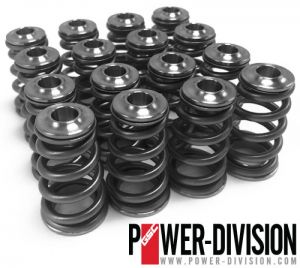 GSC Power Division Valve Spring Kits 5073