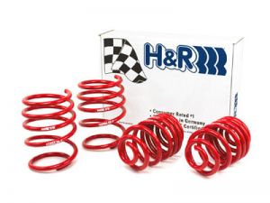H&R Race Springs 50484-88
