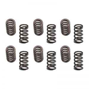 Industrial Injection PDM Valve Springs 24G801