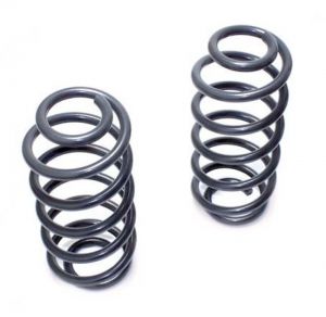 Maxtrac Lowering Coils 253520-6