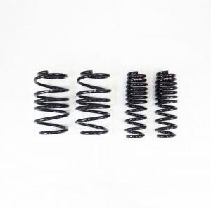 RS-R Super Down Springs T215S