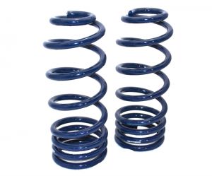 Ridetech Coil Springs 11054798