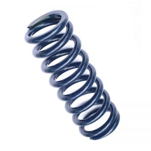 Ridetech Coil Springs 59120450
