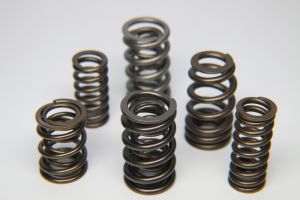 Ferrea Valve Springs - Single S10040-1