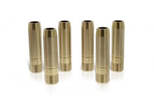 Ferrea Valve Guides - Sets VG1064