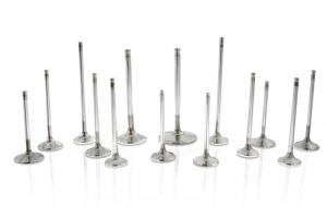 Ferrea Valve Stem Seals - Sets VS1003