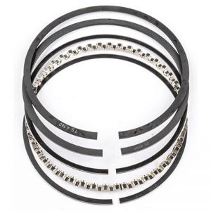 Industrial Injection PDM Piston Rings 41909.020