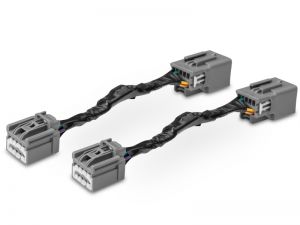 Raxiom Lighting Kit 301042