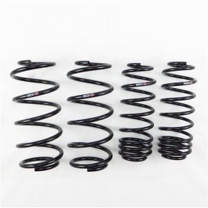 RS-R Super Down Springs H294S