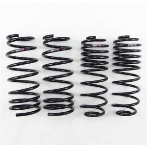 RS-R Super Down Springs M609S