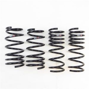 RS-R Super Down Springs T065S