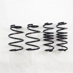 RS-R Super Down Springs T088S