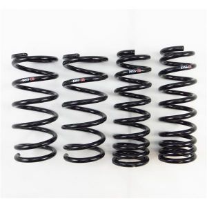 RS-R Super Down Springs T171S