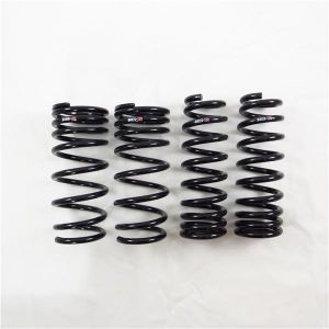 RS-R Super Down Springs T176S