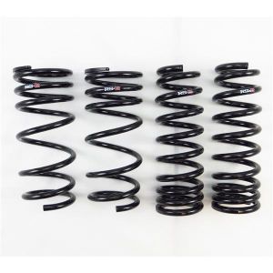 RS-R Super Down Springs T197S2