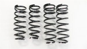 RS-R Super Down Springs T284S