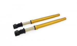 Ohlins Custom 43