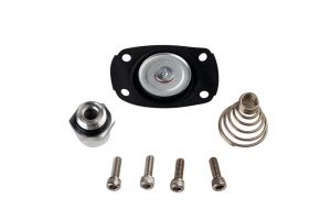 Aeromotive Regulator Repair Kit 13005