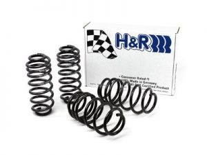 H&R Race Springs 54751
