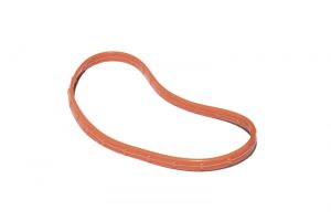FAST Throttle Body Seals 146004