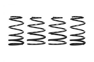 Eibach Pro-Kit Springs E10-72-006-02-22
