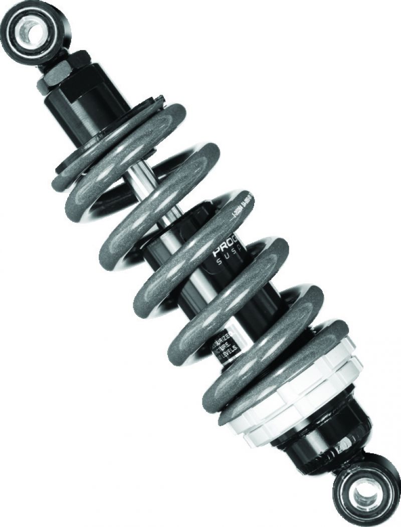 Progressive Shocks