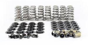 2000 Jeep Wrangler Valve Springs, Retainers