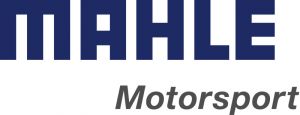 Mahle MS Piston Pin Clips 4394680