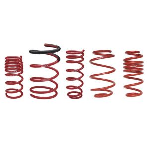 Skunk2 Racing Race Springs 521-99-1045