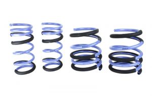 ISC Suspension Triple S Springs TS-ID65-160-08