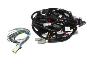 FAST Wiring Harnesses Ex 301104
